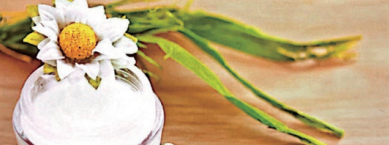 银河集团(galaxy)股份 银河集团(galaxy)股份